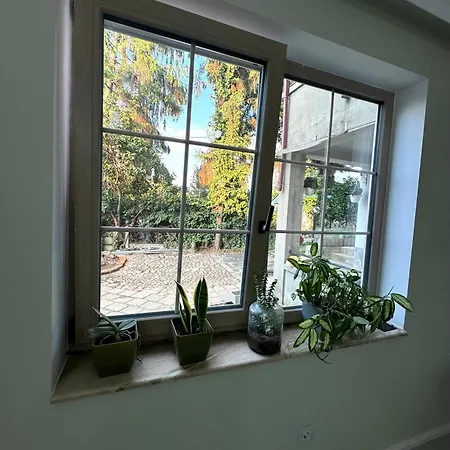 Gruia Garden Διαμέρισμα Κλουζ-Ναπόκα