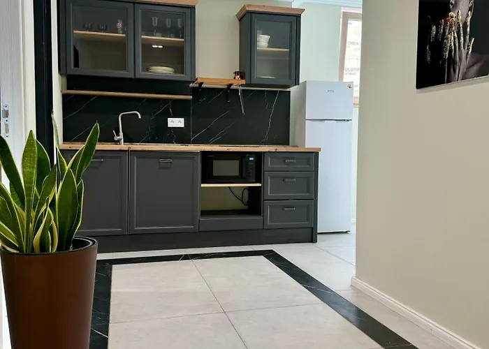 Apartmán Gruia Garden Kluž