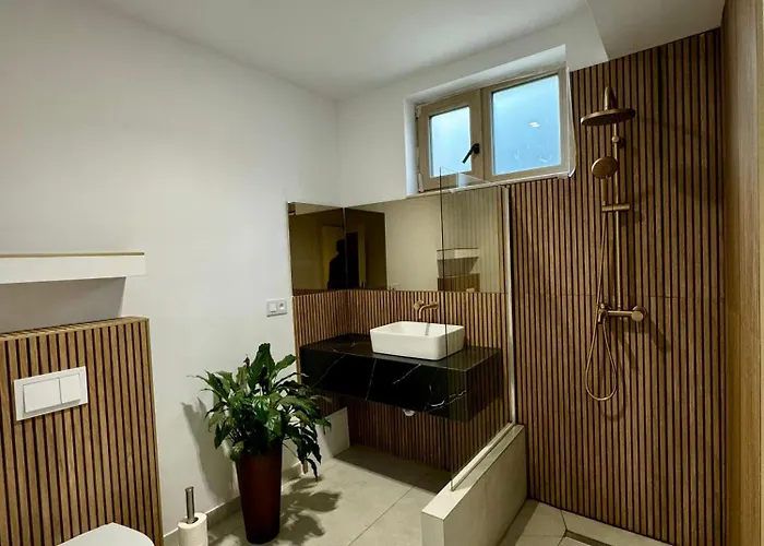 Gruia Garden Apartmán Kluž